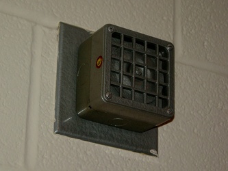 Standard horn in Moody Hall