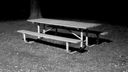 Picnic table at McIntire Park