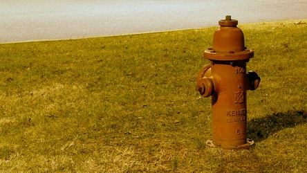 Fire hydrant at McIntire Park