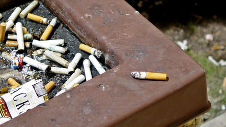 Discarded cigarettes in ashtray