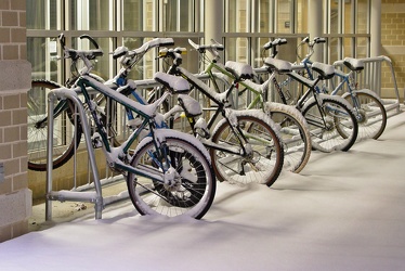 Bicycles at Potomac Hall [02]