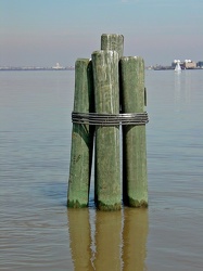 Cluster of poles in the Potomac