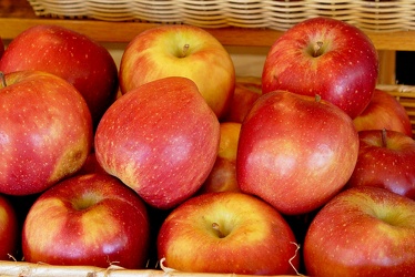 Apples at Roanoke City Market