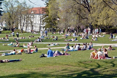 Students on the JMU Quad