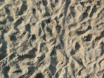 Sand at Virginia Beach