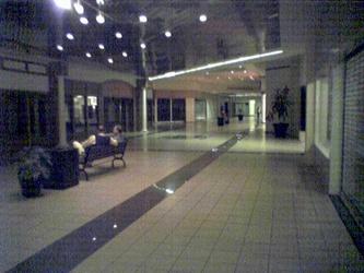 Dead wing at Tanglewood Mall