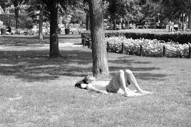 Man sunbathing in Dupont Circle