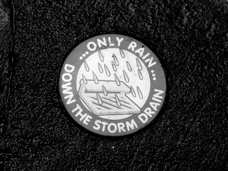 "Only rain down the storm drain"