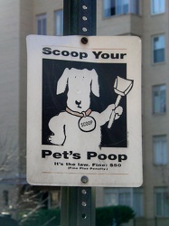 "Scoop Your Pet's Poop"