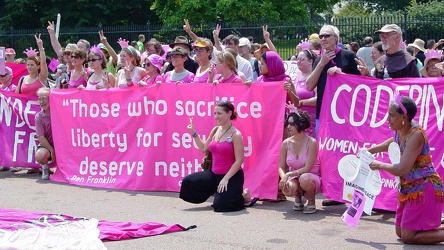 Code Pink demonstration on July 4 [04]