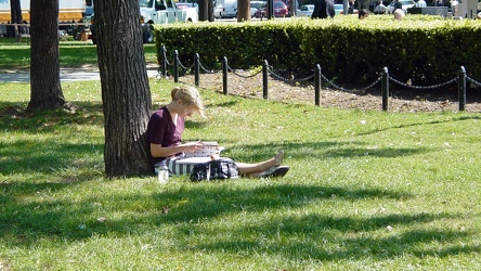 Reading a book in Dupont Circle