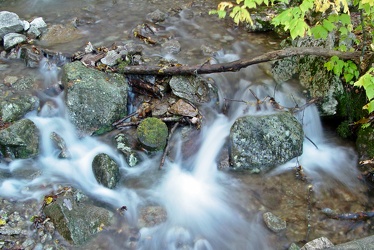 Stream at Yankee Horse Ridge [01]