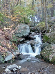 Stream at Yankee Horse Ridge [01]