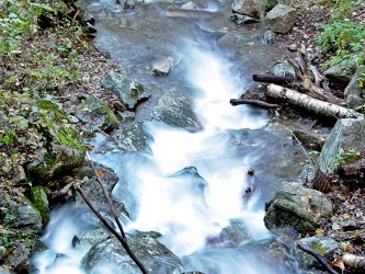 Stream at Yankee Horse Ridge [01]