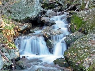 Stream at Yankee Horse Ridge [01]