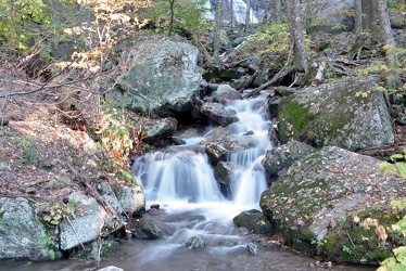 Stream at Yankee Horse Ridge [01]