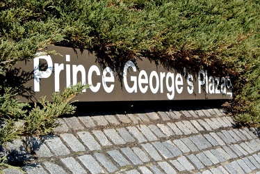 Prince George's Plaza station signage [01]