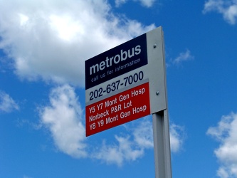 Metrobus stop at Glenmont [03]