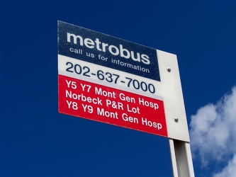 Metrobus stop at Glenmont [02]