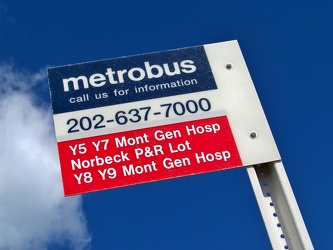 Metrobus stop at Glenmont [01]