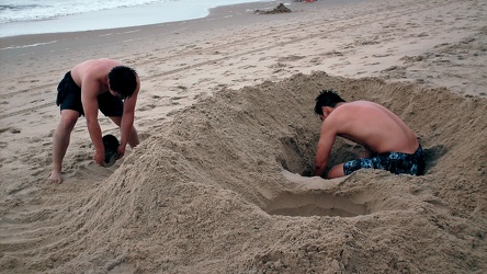 Family digging in the sand [02]