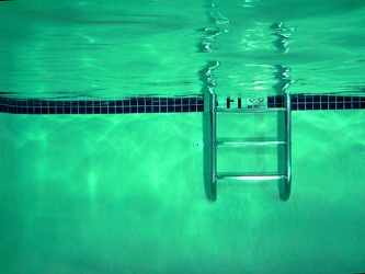 Pool ladder