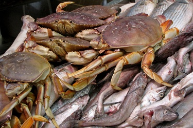 Chinatown fish market [02]