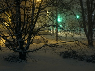 Snow after the first hours of Snowpocalypse storm [02]