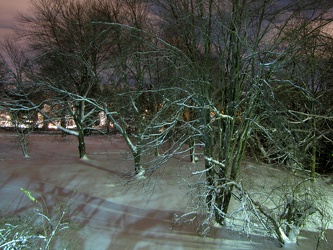 Vacant lot after Snowpocalypse storm