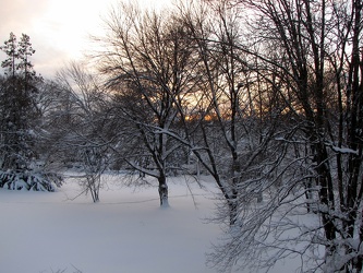 Vacant lot in Aspen Hill, Maryland at night following first "Snowmageddon" storm [01]