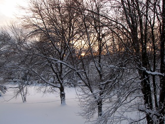 Vacant lot in Aspen Hill, Maryland at night following first "Snowmageddon" storm [02]