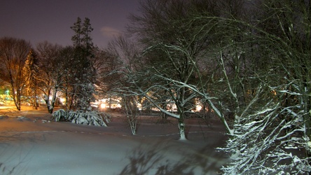 Vacant lot in Aspen Hill, Maryland at night following first "Snowmageddon" storm [03]