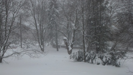 Vacant lot during second "Snowmageddon" storm