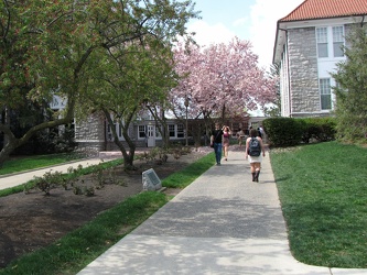 Sidewalk between Wilson and Keezell