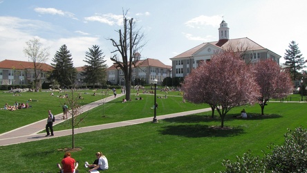 The Quad