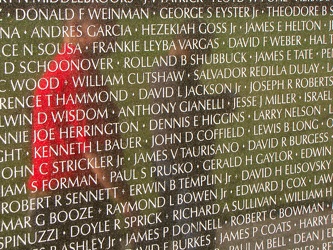 The Vietnam Veterans Memorial [08]