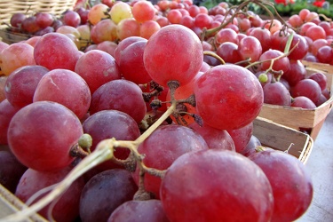 Grapes at Eastern Market