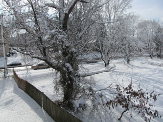 Aftermath of January 26, 2011 "Thundersnow" [02]