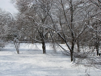 Aftermath of January 26, 2011 "Thundersnow" [03]