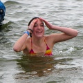 Polar bear plunges