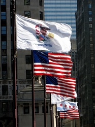 Flags in Chicago