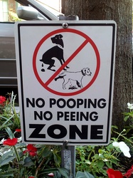 "NO POOPING NO PEEING ZONE"