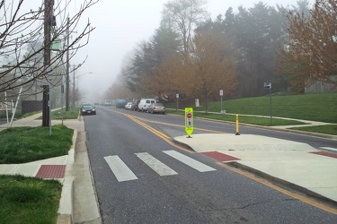 Fog on Hewitt Avenue