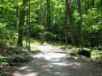 Humpback Rock trail