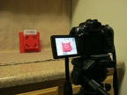 Schumin Web fire alarm photo shoot, May 30-June 7, 2012