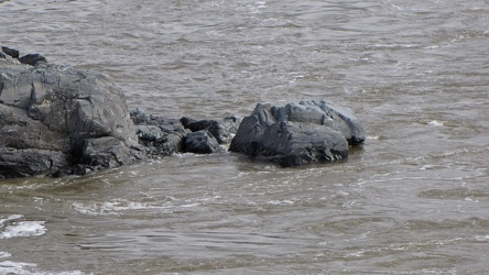 Great Falls, viewed from Virginia side [05]