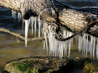 Sandy Point State Park [61]