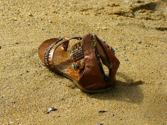 Abandoned women's sandal on Sandy Point Beach [02]