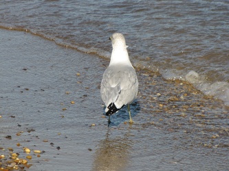 Sandy Point State Park [12]