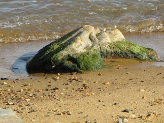 Sandy Point State Park [21]